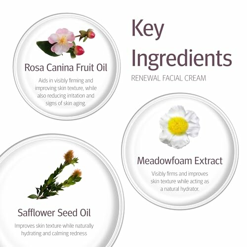 Key ingredients of renewal facial cream: Rosa Canina Fruit Oil, Meadowfoam Extract, Safflower Seed Oil.