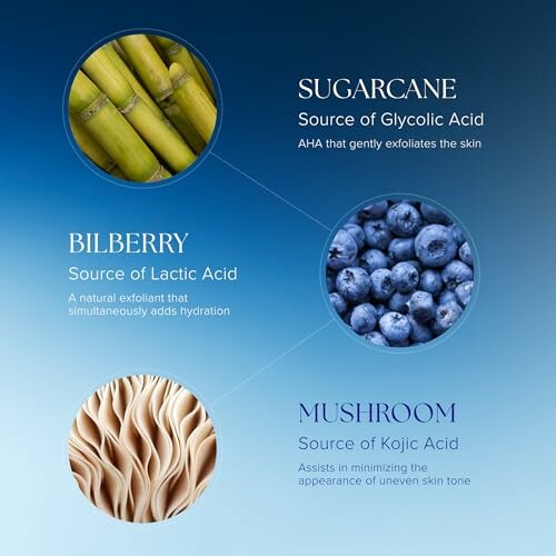 Infographic showing sugarcane, bilberry, and mushroom as sources of exfoliating acids.