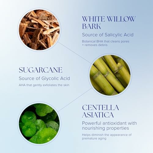 Diagram showing skincare ingredients: white willow bark, sugarcane, centella asiatica.