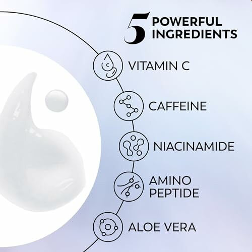 Diagram of five skincare ingredients: Vitamin C, Caffeine, Niacinamide, Amino Peptide, Aloe Vera.