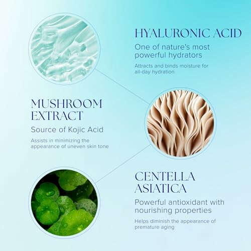 Infographic of skincare ingredients: Hyaluronic Acid, Mushroom Extract, Centella Asiatica.